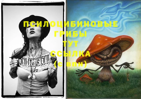 ALPHA PVP Краснослободск